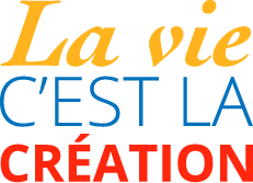 La vie c'est la création